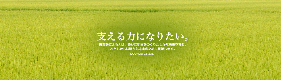 簡易水門の道峰